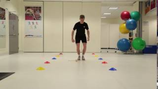 2 foot square hop