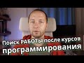 Прикинулся программистом без опыта и получил 4 приглашения на собеседования в первый день.