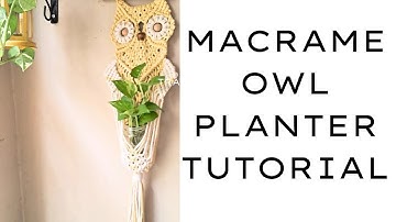 How to Make a Macrame Owl Planter | Beginner-Friendly Tutorial