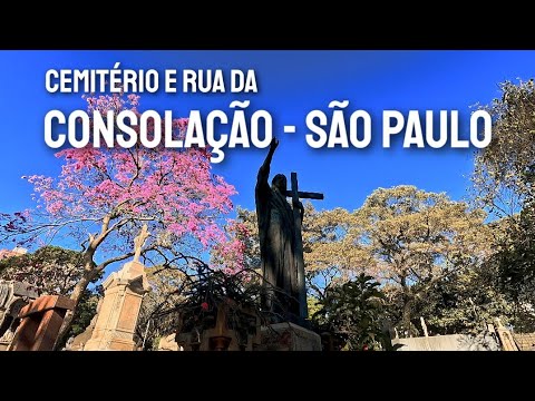 Túmulos, Ipês e trânsito. O tempo não para no Centro de SP 