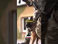 This K9 Attack Is Terrifying 😳🐕