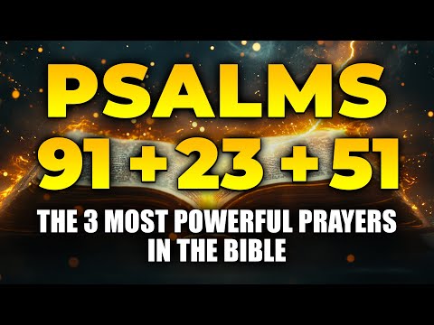  91  23  51  3      