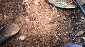 More gold withe the coiltek Elite on GPX 5000