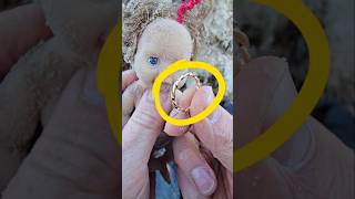 Download Lagu KETIKA NEMU CINCIN ANEH MP3