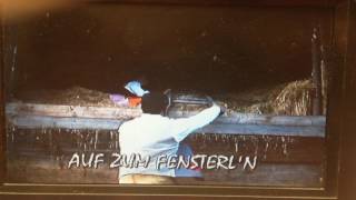 Fensterl'n mit Auner Andi im Stadl