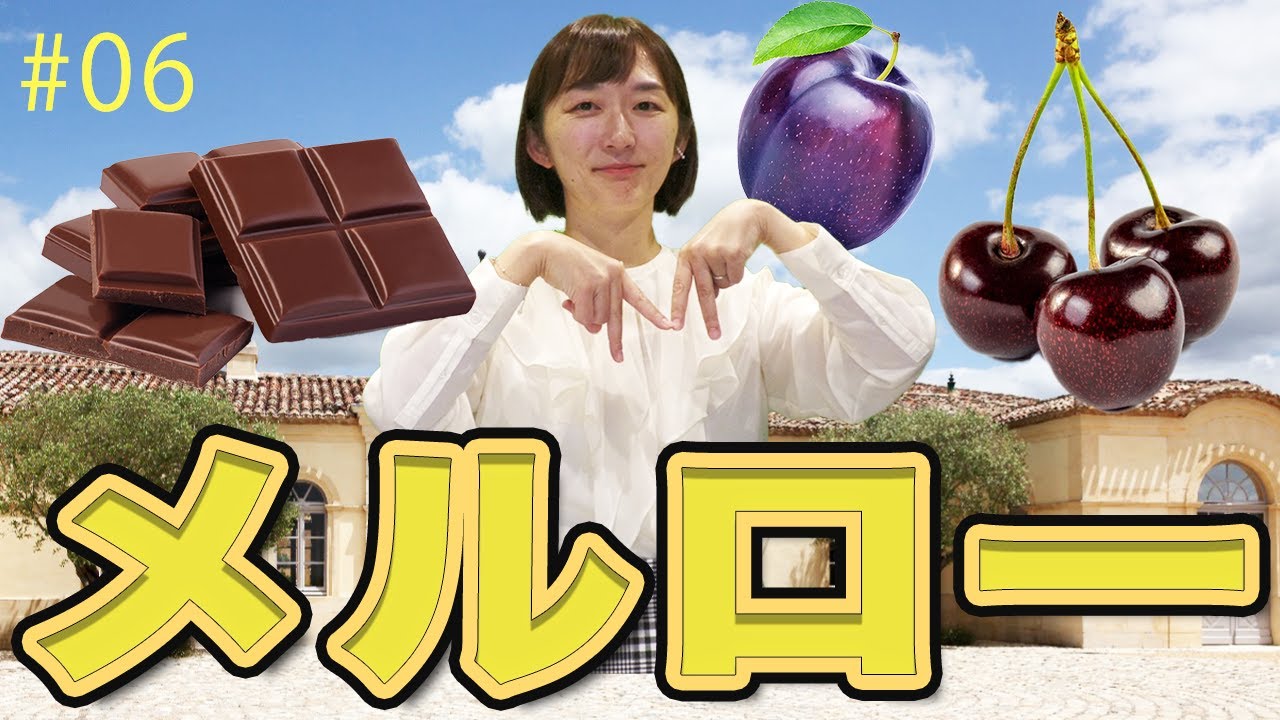 #06 メルロー｜ソムリエ・ワインエキスパート試験に登場するブドウ品種たち