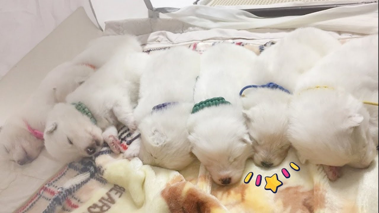 [Русские субтитры] Это красивый и особенный день ~!