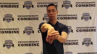 Stretch- Forearm Extensor Muscle