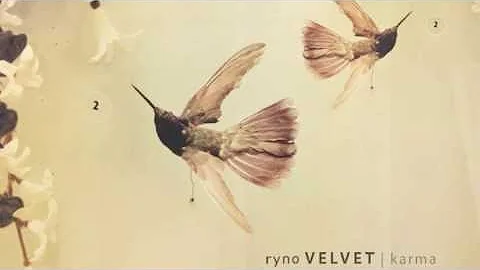 Ryno Velvet - Ai My Lam