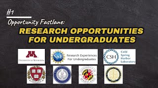 Fully Funded Summer Research Programs 2025 | Paid REU Internships with Stipends, Housing & Travel
