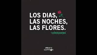 Video thumbnail of "Suerte Campeón - Los días, las noches, las flores"