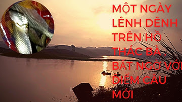 Câu cá tự nhiên _ một ngày lênh  đên trên hồ thác bà bất ngờ với điểm câu mới _ Đức Anh  fishing