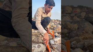 River Valley Treasure Hunting Using Pinpointer Gold Detector #metaldetecting #findgold #shortsfeed