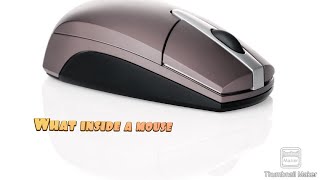 Destroying a pc mouse
