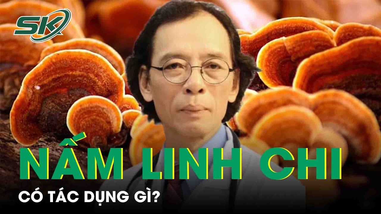 Nm Linh Chi C Tc Dng G? | SKS