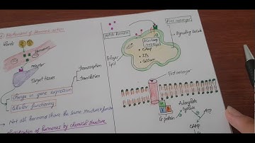 Biology - Endocrine system 1 (Tổng quan hệ nội tiết)
