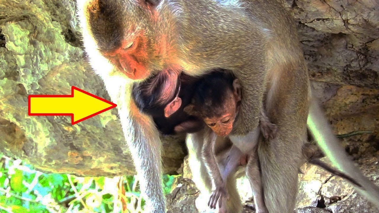 foundry Confusing Heidi Hugging So Sweet With Newborn baby This morning