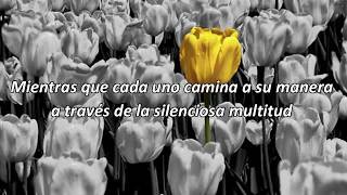 The Quiet Crowd - Patrick Watson // sub. español