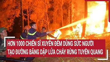 Cháy rừng ở Tuyên Quang, hơn 1000 người xuyên đêm dùng sức người tạo đường băng dập lửa