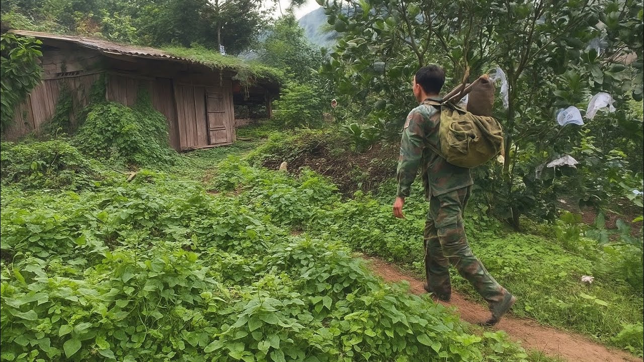 CEO visits old house again? And the ending is really surprising!@mountainnature95 @house@CEO