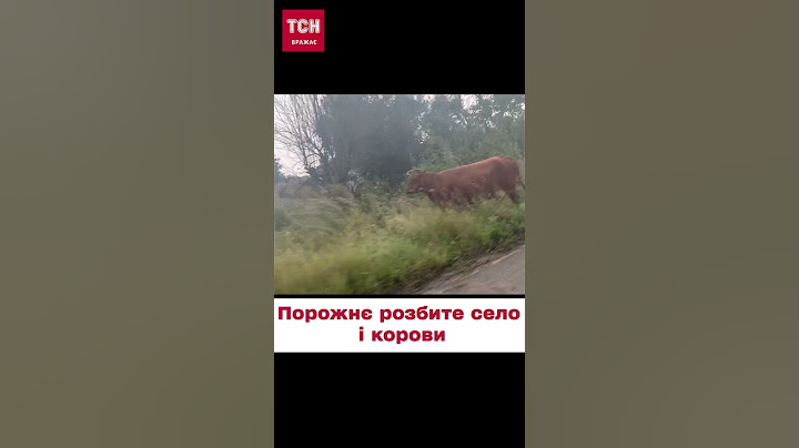 💔😭 Розбитим селом ходять лише корови