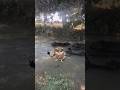 Funny owl dance #funny #owl #dance #fypシ #fypシ゚viral #fyp #subscribe #birds #nature #cute #love #yt