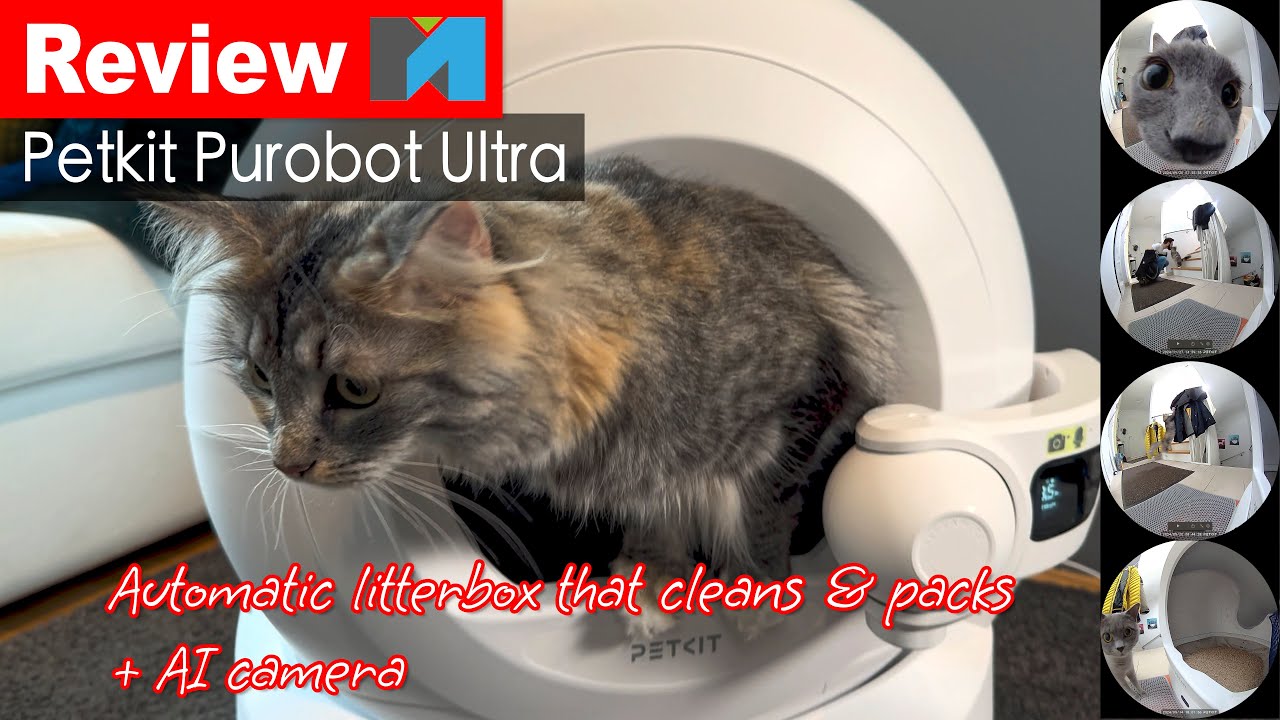 Petkit Purobot Ultra Review: Smartest Litterbox with AI? - YouTube