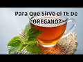 Para que SIRVE EL TE DE ORÉGANO:propiedades y 7 BENEFICIOS Conócelos EN HUERTO FACIL Y FAMILIAR