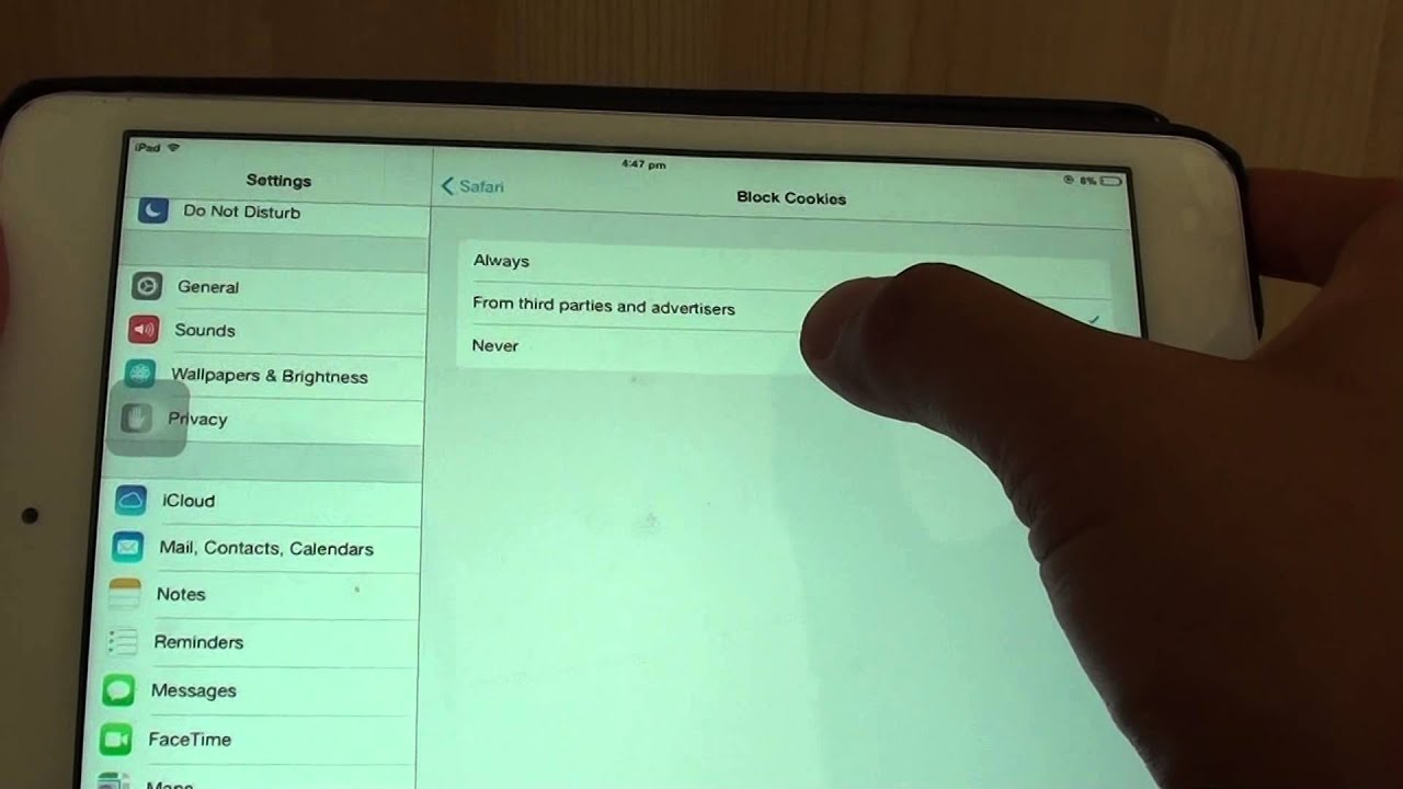 how to allow cookies safari ipad