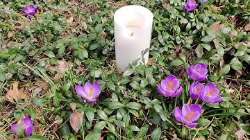 Lighting Candle of Peace