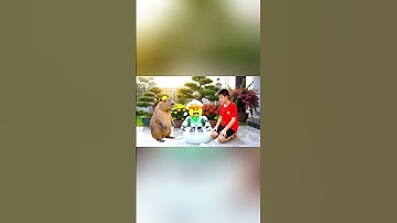 Capybara cùng anh giúp bà tắm cho con Noobini Tortelini brainrot roblox và cái kết #capybara