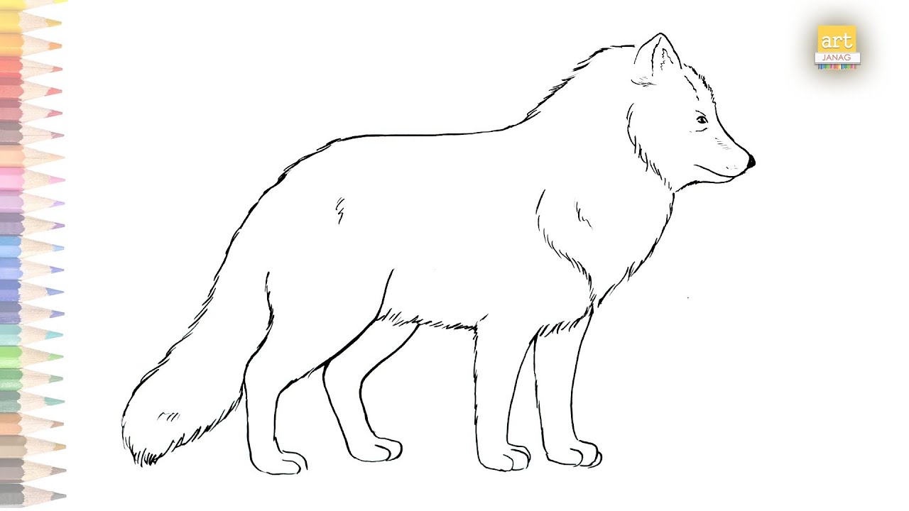 How to Draw an Arctic Fox - Easy Drawing Art