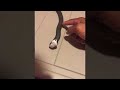 رد فعل الثعبان سيدهشك