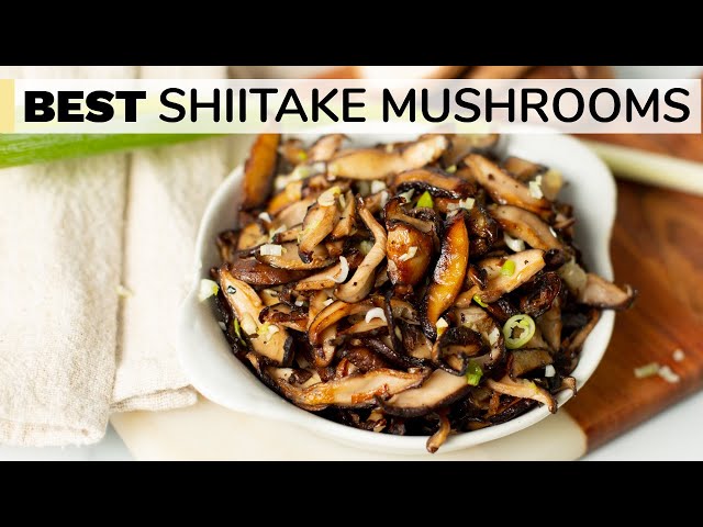 SHIITAKE MUSHROOMS RECIPE | how to cook shiitake mushrooms class=