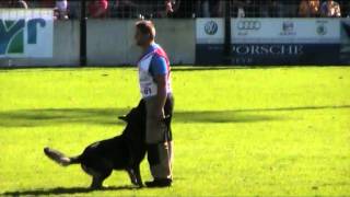 Witz Eqidius - Obedience Wusv 2012