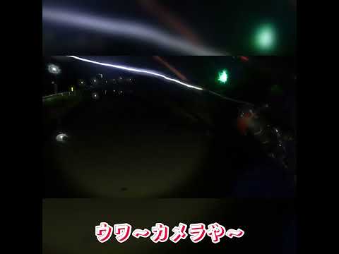 雨上がりの増水した川でウナギ釣り！今日こそは釣れるはず！#shorts #毎日投稿 #ウナギ釣り#釣り好き#釣り好きな人と繋がりたい