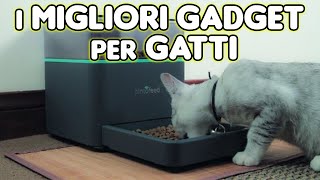GATTI E TECNOLOGIA: SCOPRI GLI ULTIMI GADGET PER IL TUO FELINO - OASI DEGLI ANIMALI 🐼🎥