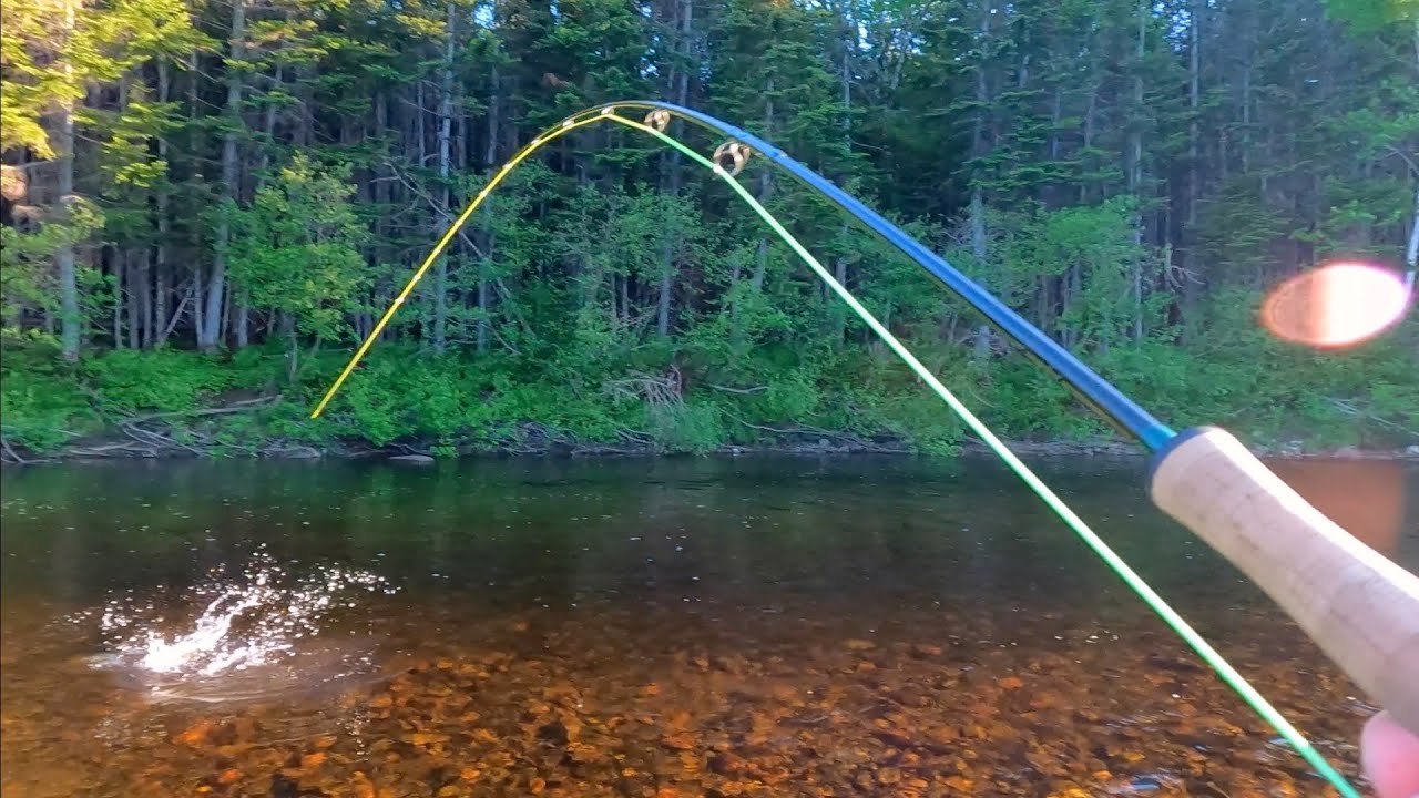 Newfoundland Salmon Fishing pt 2 YouTube