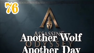ANOTHER WOLF ANOTHER DAY / Assassin
