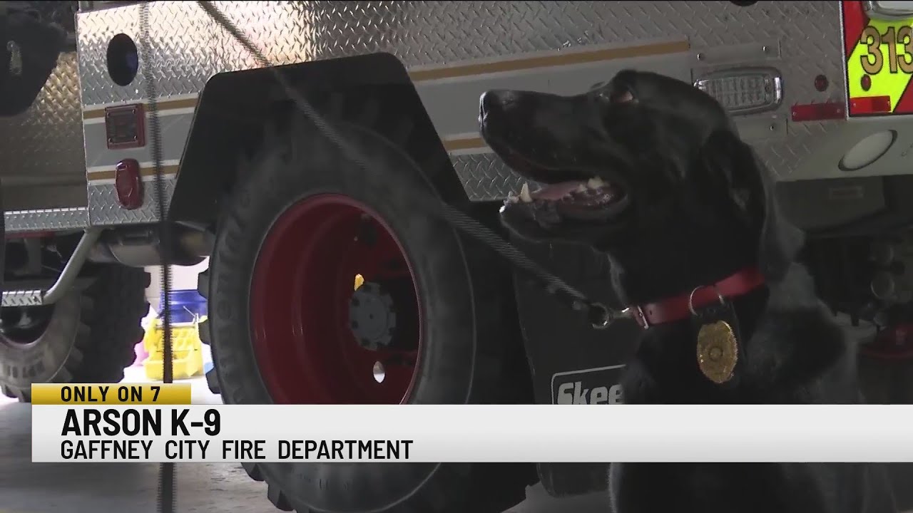 Gaffney Fire Dept. welcomes accelerant-detecting K-9 to team