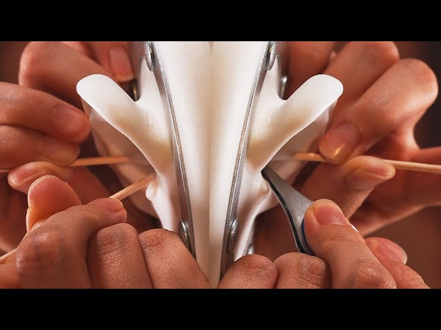 ASMR Never Boring Ear Cleaning Collection (NO TALKING)