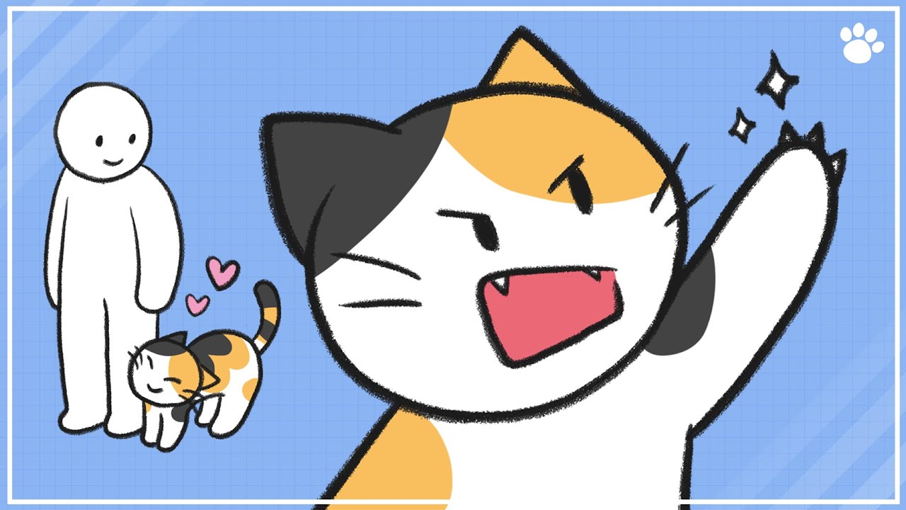 How Cats Recognize Their Owners YouTube How Cats Recognize Their Owners YouTube
