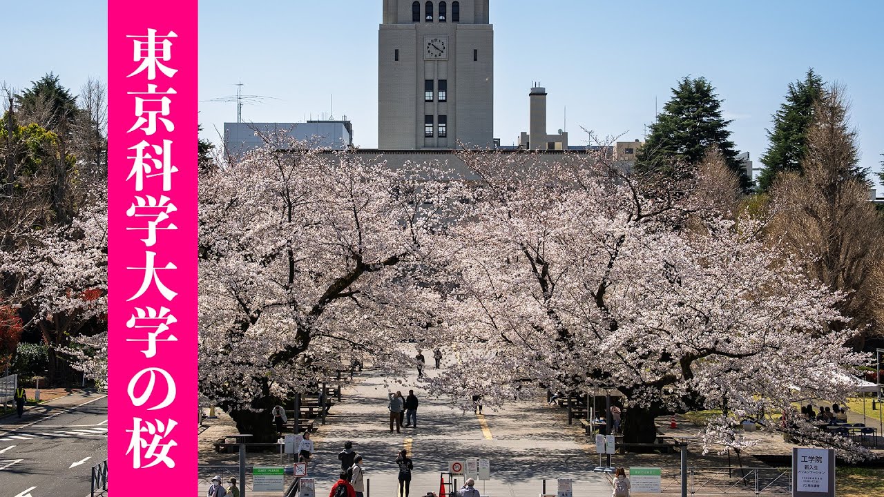 東京工業大学2023 2020 2018 2014 東京科学大学2025セット 東京工業大学2023 2020 2018 2014 東京科学大学2025セット 東京