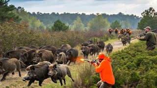 Large-Scale Wild Boar Hunting - Panorama of the War Against Wild Boars in the US screenshot 5