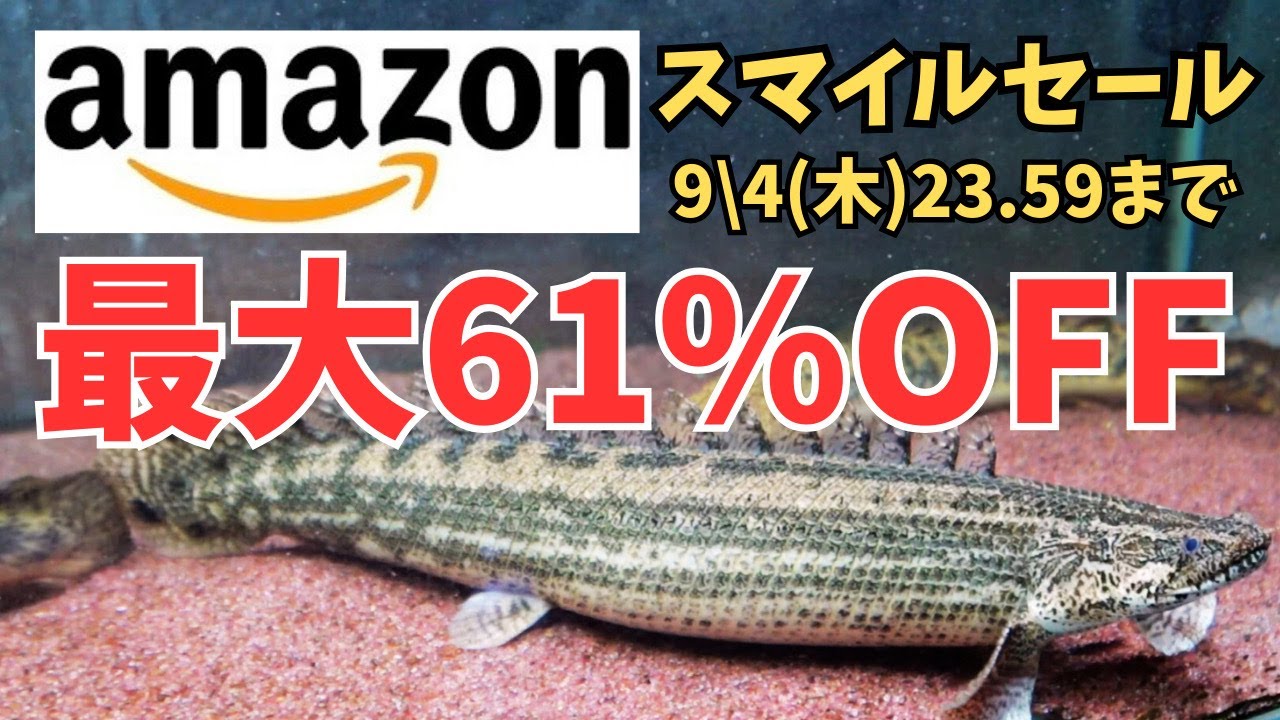 Get great deals on your purchases with the Amazon Smile Sale 