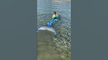 OMW to annoy people with my “FAKE, PLASTIC” mermaid tail. 🙄 #realmermaid #imadethis #mermaidtail