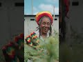 La Marijuana dovrebbe essere libera? #progettohappiness #rastafari #shorts #documentary #culture
