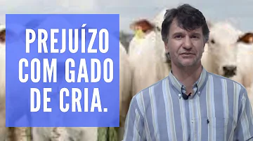 O que é o pecuarista?