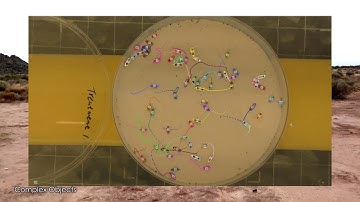 part 1: Connections between Reinforcement Learning and Agent Based Modeling