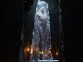 5 Mysterious Creatures Found Frozen Under Antarctica